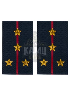 Фальш погоны Полиции нового образца звание Капитан 9х5 см