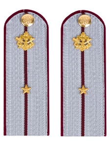 Погоны ФСИН на рубашку картон (в сборе) укомплектованные с фурнитурой звание младший лейтенант 14х5 см