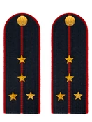 Погоны Полиция в сборе на китель темно-синие Капитан картон 14х5см Пришивные