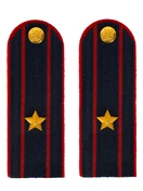 Погоны Полиция в сборе на китель темно-синие Майор картон 14х5см Пришивные