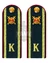 Погоны Полиции курсантские 14х5см картон в сборе с фурнитурой