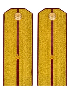 Погоны Росгвардии ФСВНГ парадные золотые 14х5,5 см картон звание Младший Лейтенант