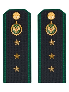 Погоны Пограничной службы ПС ФСБ в сборе картон на куртку звание Старший прапорщик