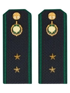 Погоны Пограничной службы ПС ФСБ в сборе картон на куртку звание Прапорщик