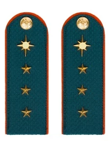 Погоны МЧС Старший Прапорщик Картон