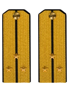 Погоны парадные ВМФ Старший Лейтенант цвет золотой