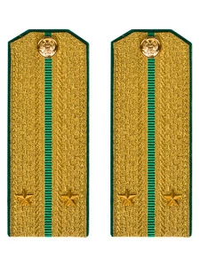Погоны Пограничной службы ПС ФСБ в сборе картон Лейтенант золотые