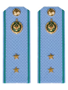 Погоны Пограничной службы ПС ФСБ голубые картон звание Прапорщик