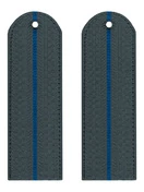 Погоны ФССП 1 просвет картон серые