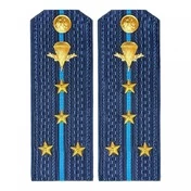 Погоны ВДВ синие КАПИТАН в сборе Пластиковые
