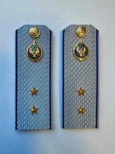 Погоны ФСБ голубые картон звание Прапорщик 14см