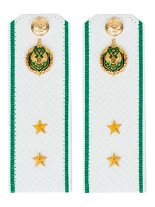 Погоны Пограничной службы ПС ФСБ белые картон звание Прапорщик