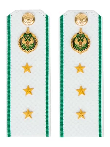 Погоны Пограничной службы ПС ФСБ белые картон звание Старший Прапорщик