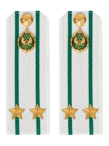 Погоны Пограничной службы ПС ФСБ в сборе КАРТОН белые звание Подполковник 14х5см