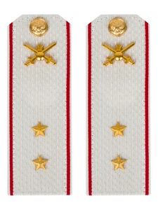 Погоны МО Сухопутные войска белые звание Прапорщик Картон