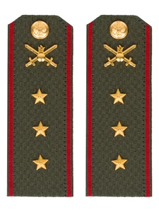 Погоны МО Сухопутные войска зеленые звание Старший Прапорщик Картон