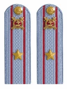 Погоны Полиции картон голубые Майор 13см