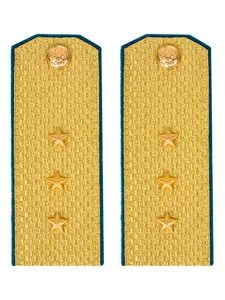 Погоны ВДВ, ВКС, ВВС парадные золотые с фурнитурой на Китель звание Старший Прапорщик Картон