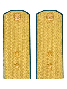 Погоны ВДВ, ВКС, ВВС парадные золотые с фурнитурой на Китель звание Прапорщик Картон