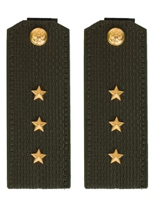 Погоны МО общевойсковые на китель зеленые звание Старший Прапорщик ПЛАСТИК