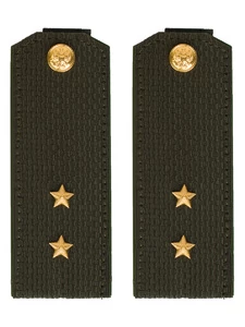 Погоны МО общевойсковые на китель зеленые звание Прапорщик ПЛАСТИК