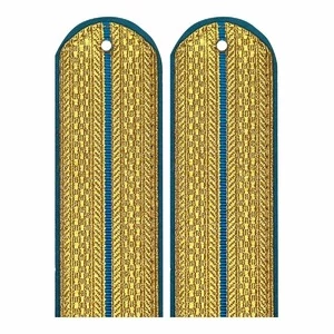 Погоны ФССП парадные золотые 1 просвет картон