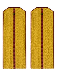 Погоны Росгвардии ФСВНГ парадные золотые 1 просвет 14х5см картон
