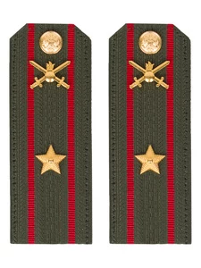 Погоны МО Сухопутные войска зеленые звание Майор Пластик