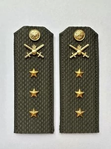 Погоны МО Сухопутные войска зеленые звание Старший Прапорщик Пластик