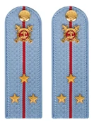 Погоны Полиции картон голубые Старший Лейтенант 12см