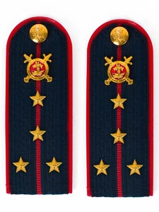 Погоны Полиции (в сборе) ПЛАСТИК укомплектованные с фурнитурой темно-синие (Капитан) 14х5см