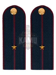 Погоны ФСИН на КИТЕЛЬ картон (в сборе) укомплектованные с фурнитурой звание Мл. лейтенант 14х5 см
