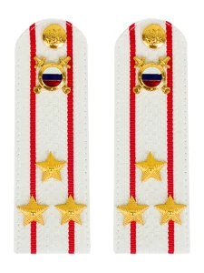 Погоны МВД внутренняя служба на рубашку белые картон звание Полковник 14см