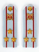 Погоны Полиции на рубашку голубые ПЛАСТИК Звание Полковник