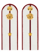 Погоны ФСИН на рубашку ПЛАСТИК цвет белый, звание Младший лейтенант 14х5,5см