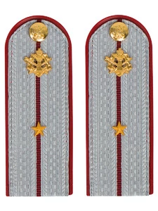 Погоны ФСИН на рубашку ПЛАСТИК, звание Младший лейтенант цвет серый 14х5,5см