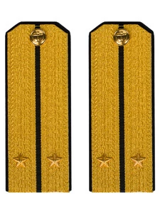 Погоны парадные ВМФ Лейтенант цвет золотой