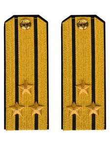 Погоны парадные ВМФ Капитан 1 ранга цвет золотой