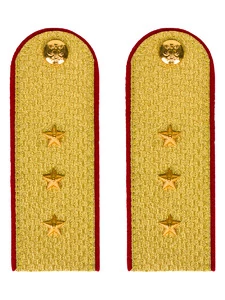 Погоны МВД парадные звание Старший Прапорщик цвет золотой