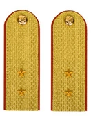Погоны МЧС Прапорщик Картон цвет золотой