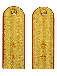 Погоны МЧС Прапорщик Картон цвет золотой