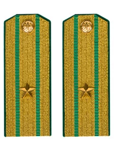 Погоны Пограничной службы ПС ФСБ в сборе картон Майор золотые