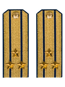 Погоны парадные ФСБ золотые картон звание Полковник