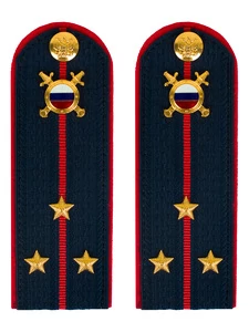 Погоны МВД внутренняя служба на куртку темно-синие картон звание Старший лейтенант 13см