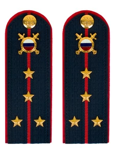 Погоны МВД внутренняя служба на куртку темно-синие картон звание Капитан 13 см