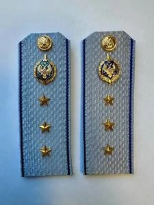 Погоны ФСБ голубые картон звание Старший Прапорщик 14см