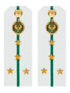 Погоны Пограничной службы ПС ФСБ в сборе КАРТОН белые звание Капитан 14х5см