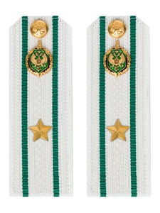 Погоны Пограничной службы ПС ФСБ в сборе КАРТОН белые звание Майор 14х5см