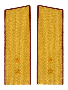 Погоны Росгвардии ФСВНГ парадные золотые Скос 16х5,5 см картон звание Прапорщик