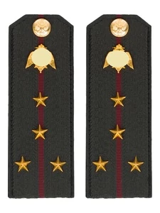 Погоны Росгвардии ФСВНГ на куртку 14х5 см Картон звание Капитан